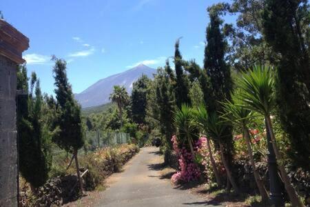איקוד דה לוס וינוס Villa Rural Faldas Del Teide מראה חיצוני תמונה