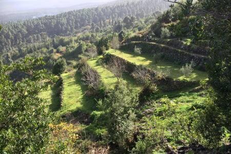 איקוד דה לוס וינוס Villa Rural Faldas Del Teide מראה חיצוני תמונה