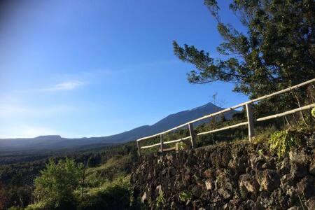איקוד דה לוס וינוס Villa Rural Faldas Del Teide מראה חיצוני תמונה